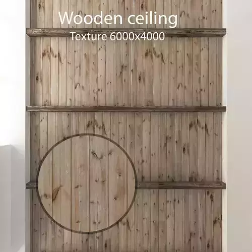 Wooden ceiling with beams 1