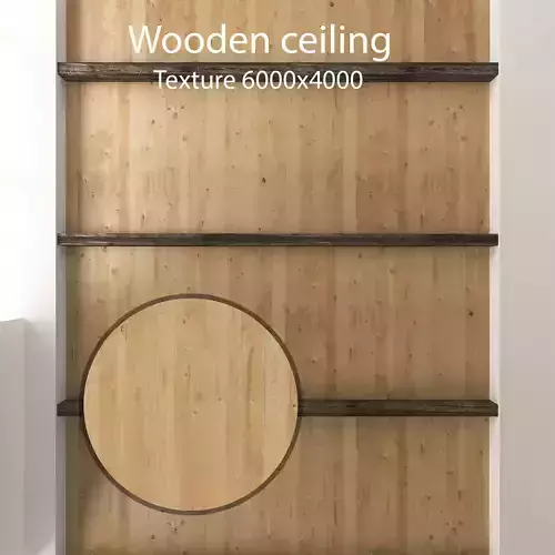 wooden ceiling 18