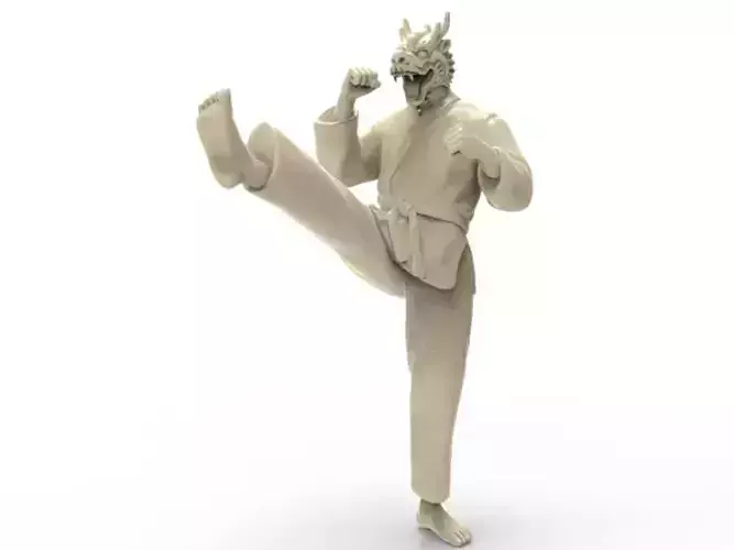 Dragon Front kick