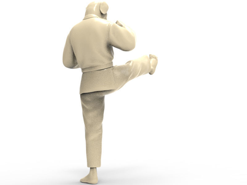 Dog Front kick 3D print model_3