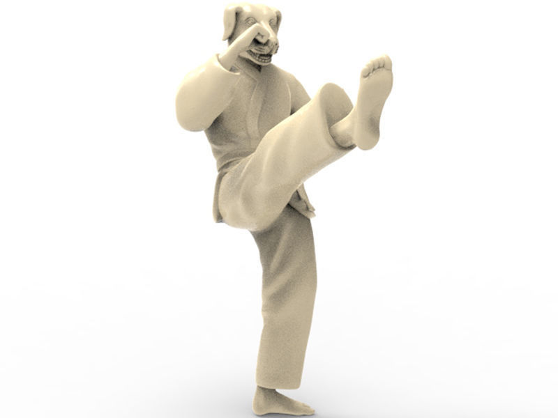 Dog Front kick 3D print model_5