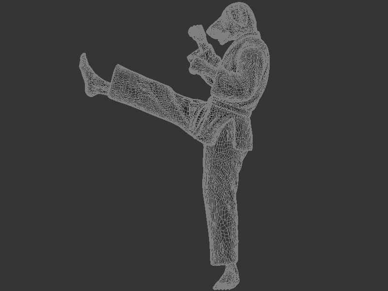 Dog Front kick 3D print model_8