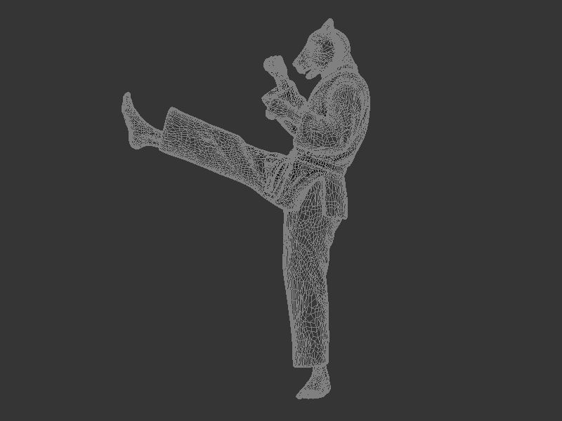 Tiger Front kick 3D print model_8