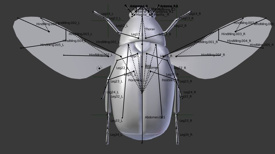 Gold Beetle Low-poly 3D model_4
