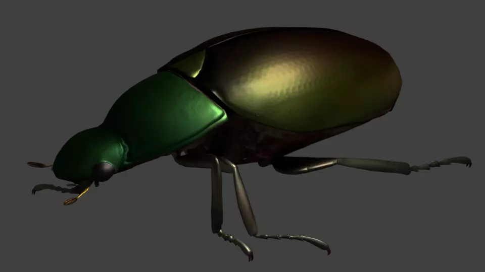 Gold Beetle Low-poly 3D model_0
