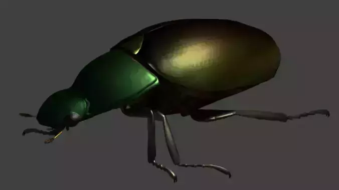Gold Beetle Low-poly 3D model