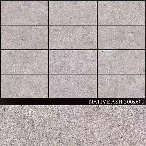 ABK Native Ash 300x600