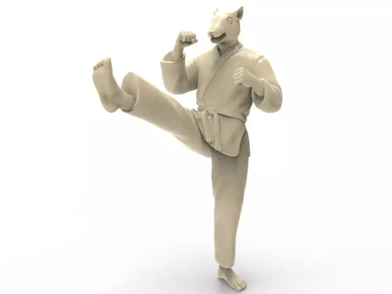 Rat Front kick 3D print model