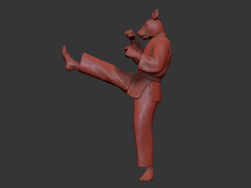 Rabbit Front kick 3D print model_7