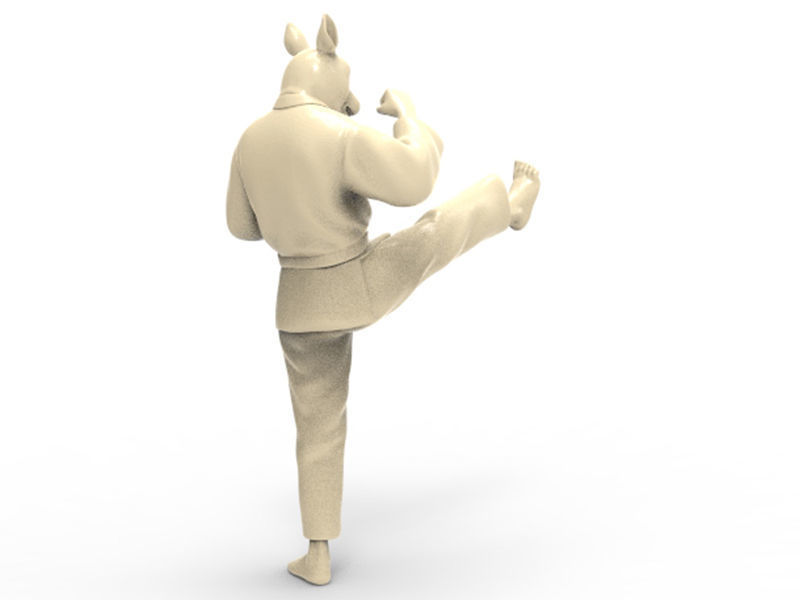 Rabbit Front kick 3D print model_3
