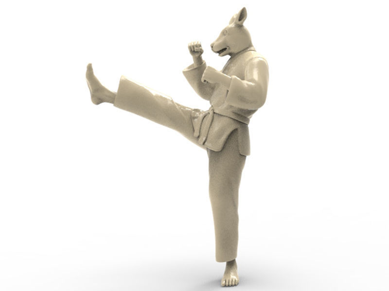 Rabbit Front kick 3D print model_1