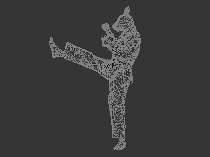 Rabbit Front kick 3D print model_8