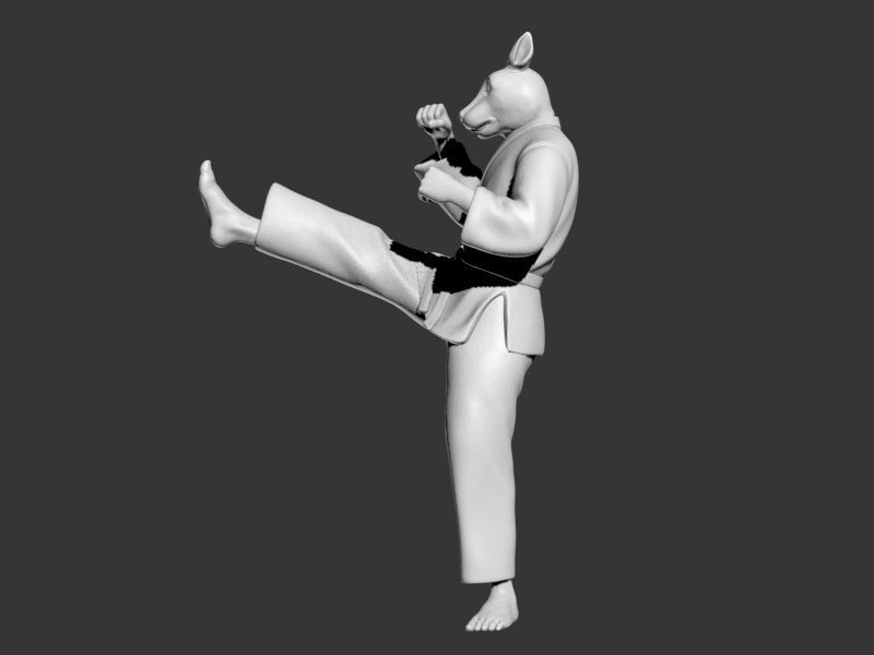 Rabbit Front kick 3D print model_6