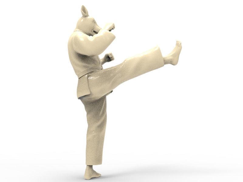Rabbit Front kick 3D print model_4