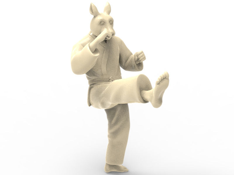 Rabbit Front kick 3D print model_5