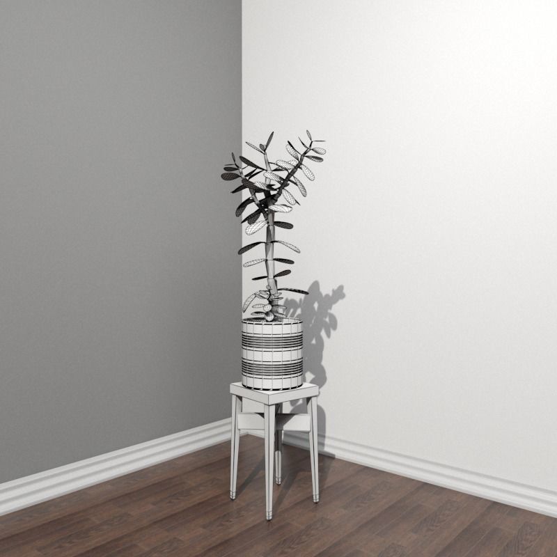 Stool and Pots with Plants 3D model_2