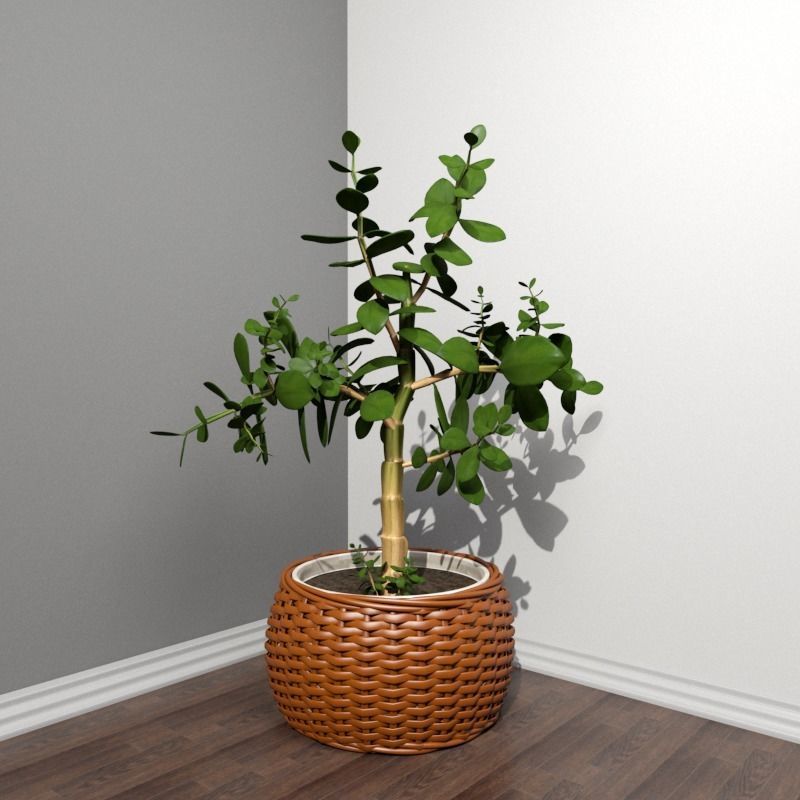 Stool and Pots with Plants 3D model_8