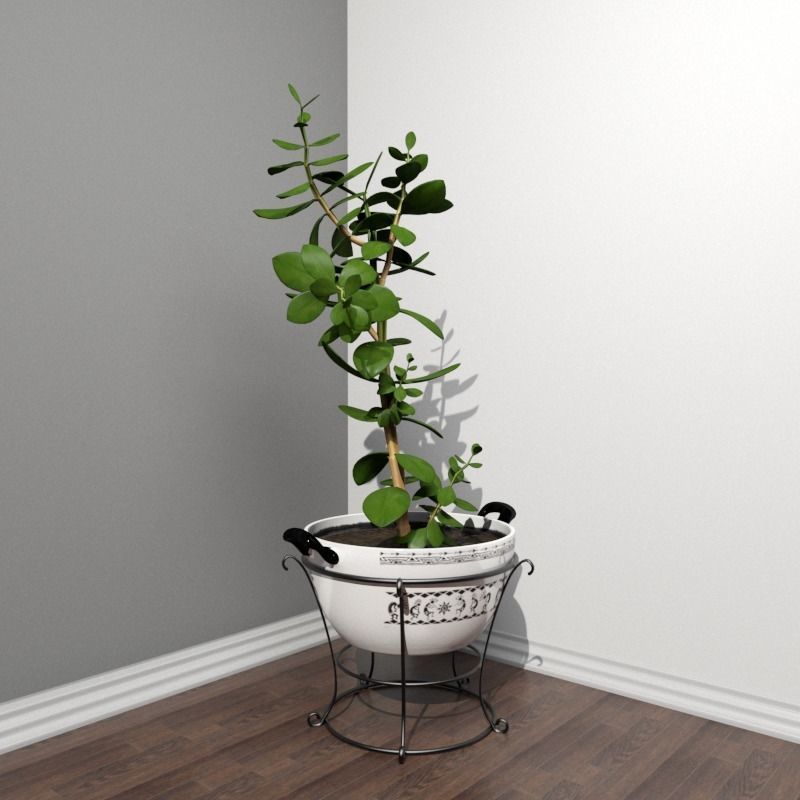 Stool and Pots with Plants 3D model_18