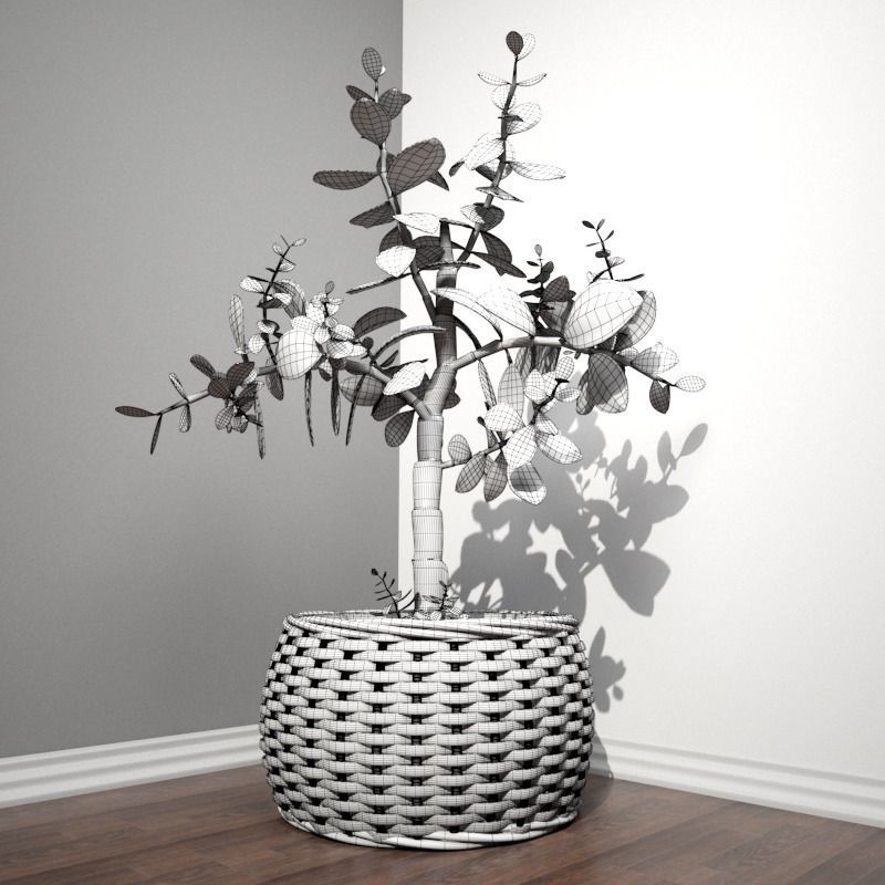 Stool and Pots with Plants 3D model_12