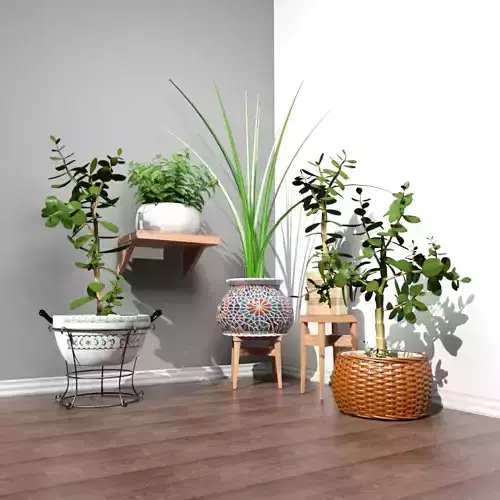 Stool and Pots with Plants 3D model