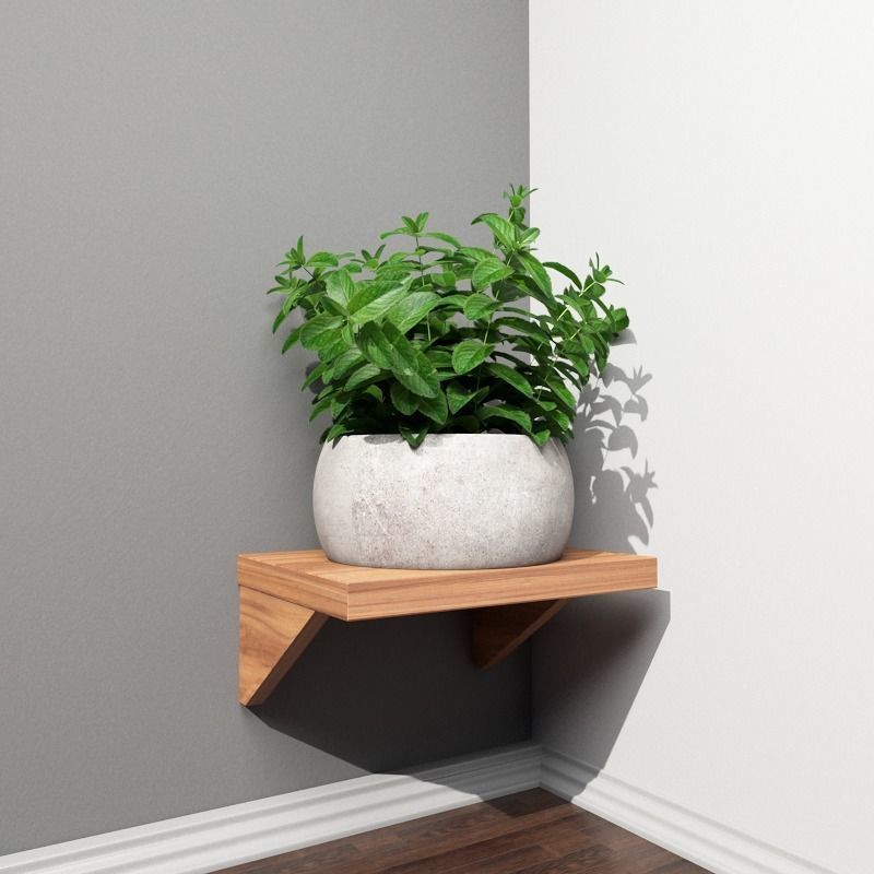 Stool and Pots with Plants 3D model_4