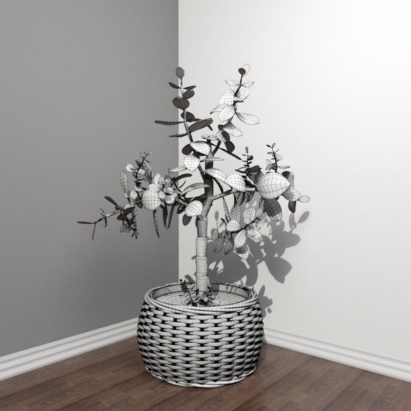 Stool and Pots with Plants 3D model_10