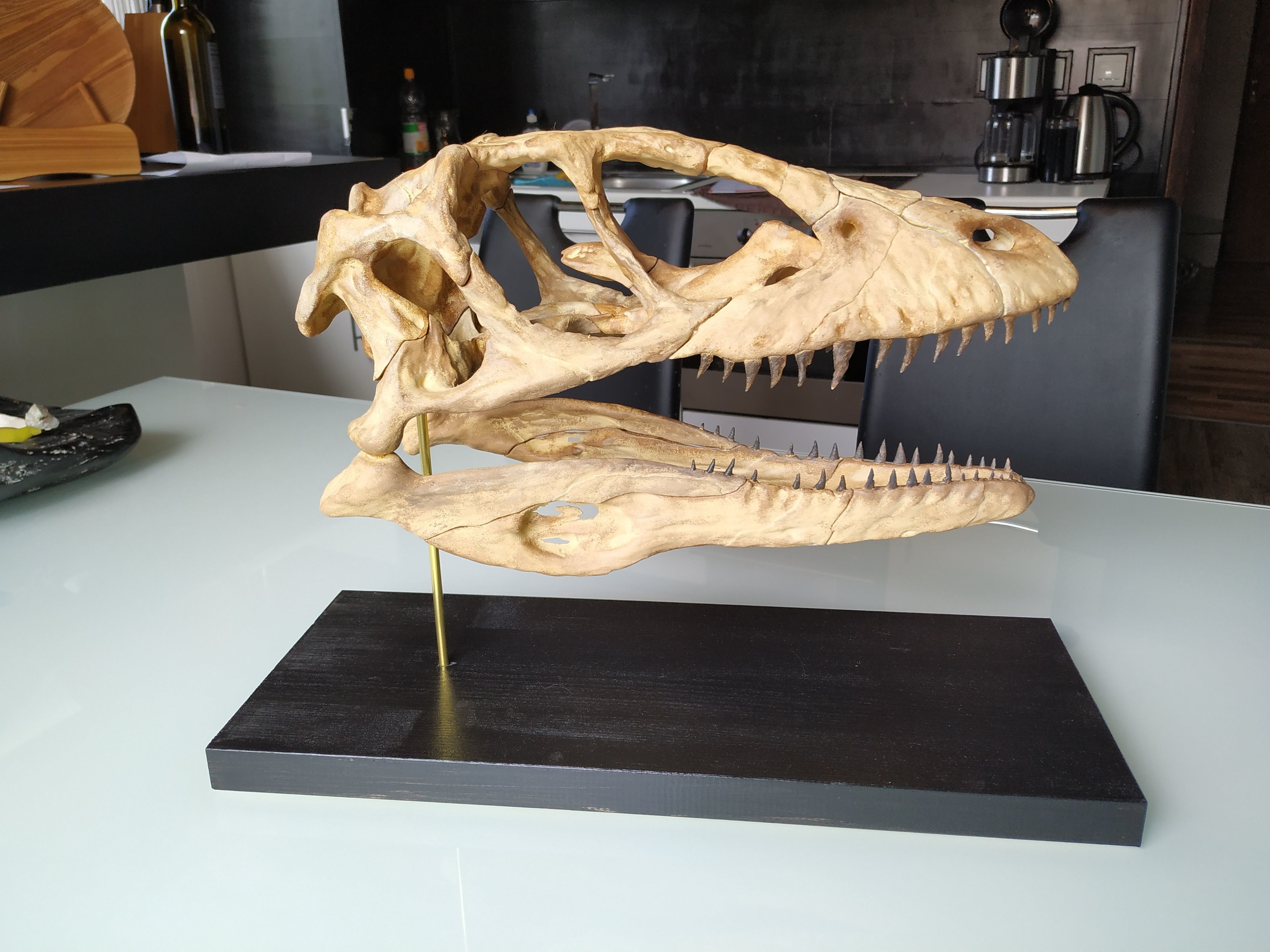 Deinonychus Skull 3D print model_1