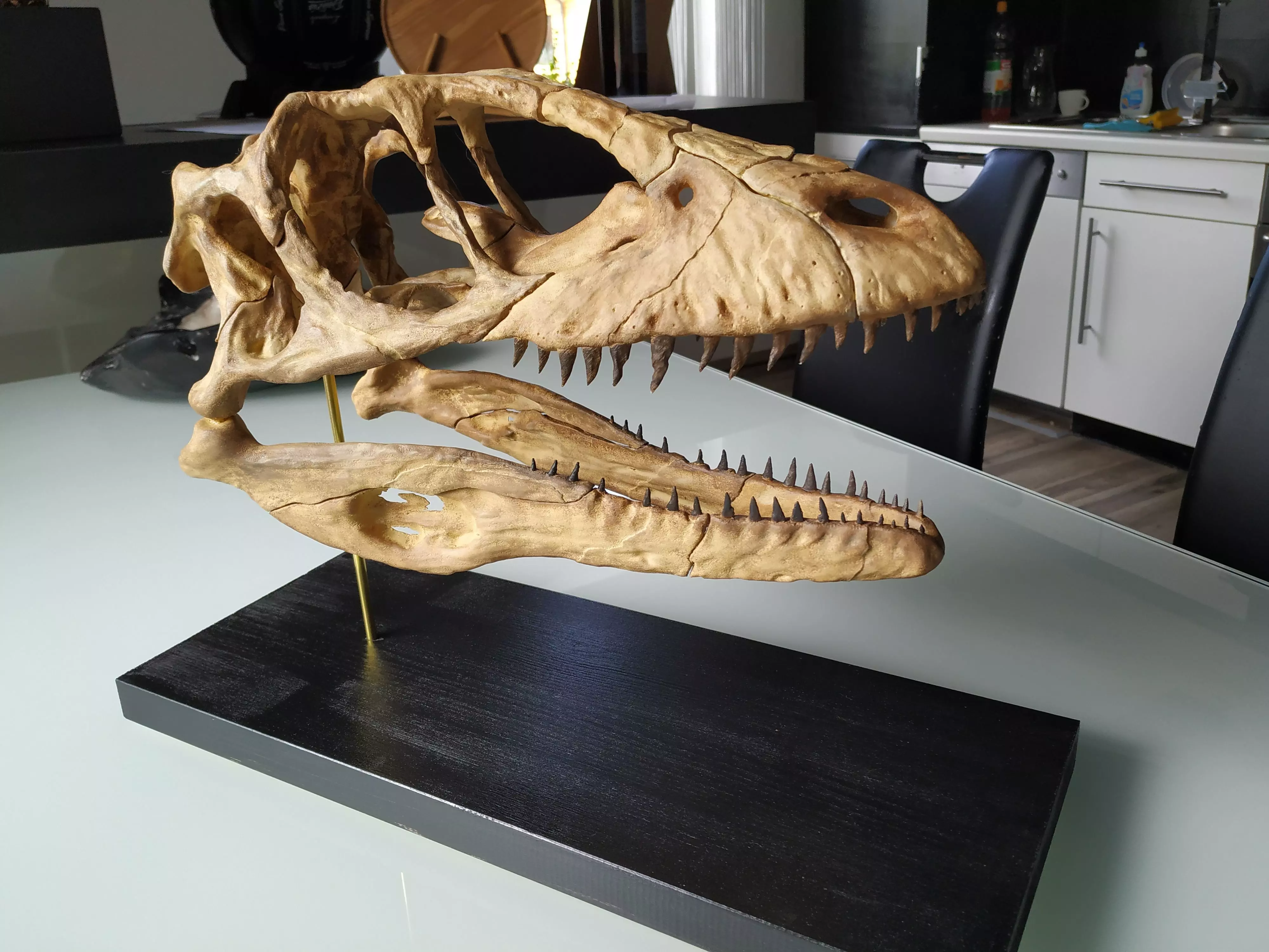 Deinonychus Skull 3D print model_0