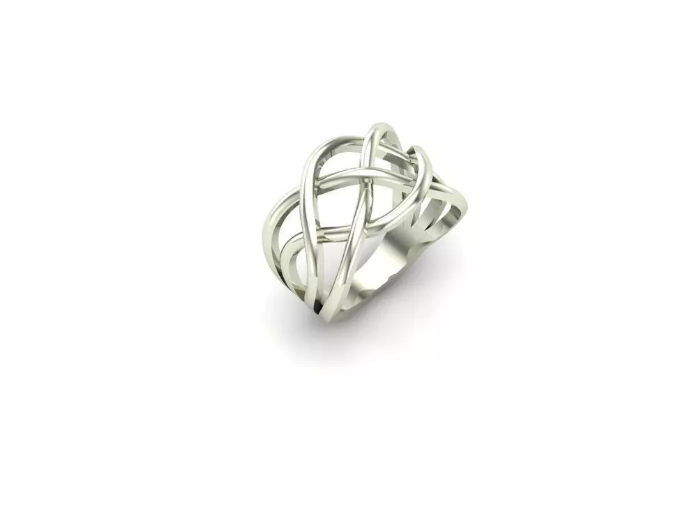 Ex-69 sterling silver ring with intertwined design 3D print model_0
