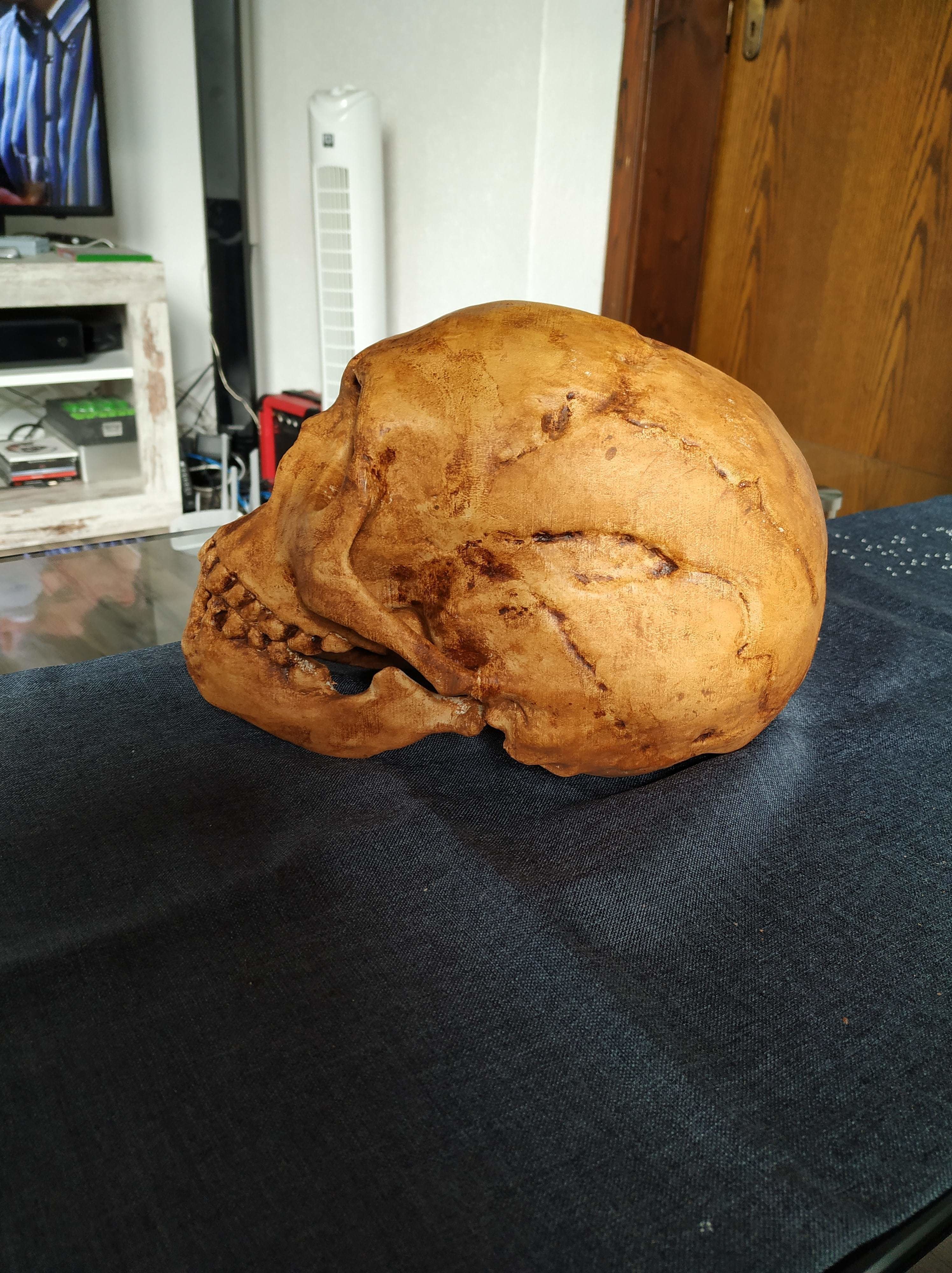 Neanderthaler Skull 3D print model_3