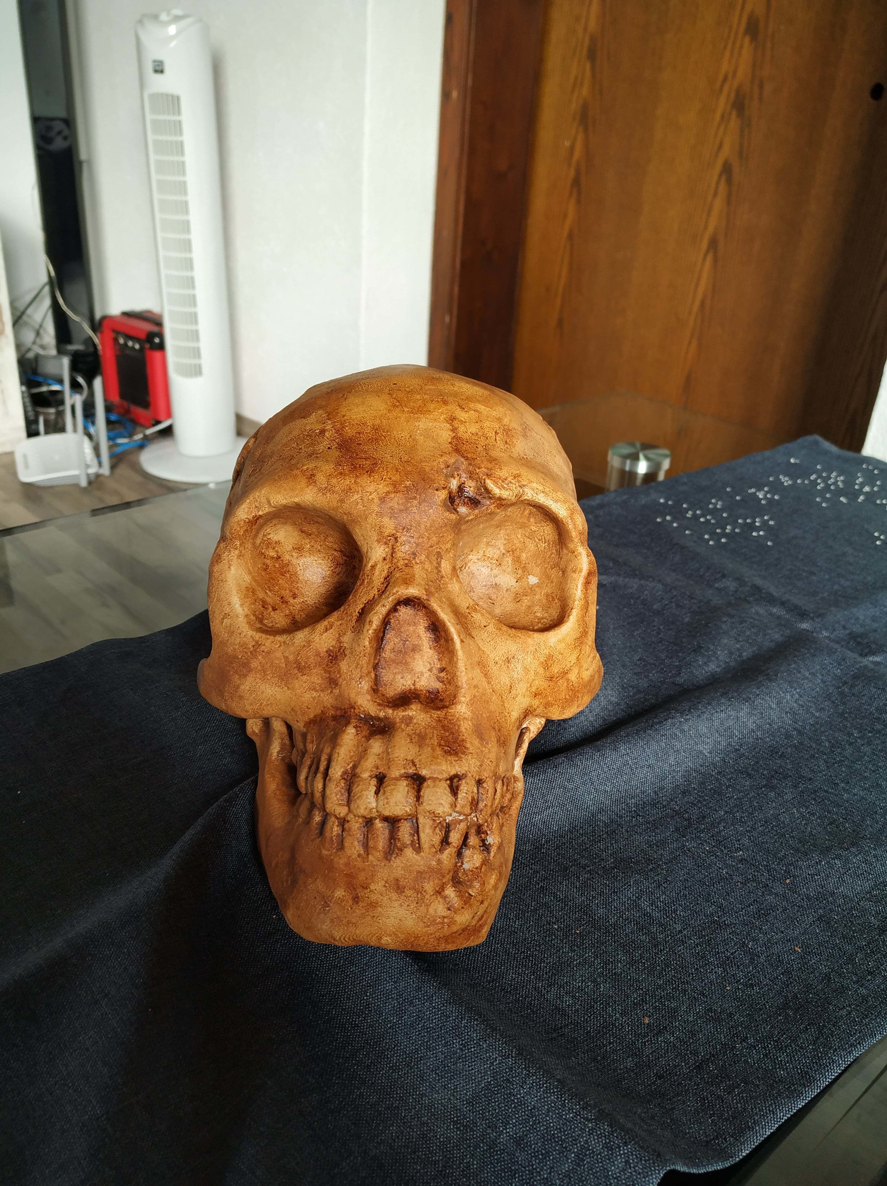 Neanderthaler Skull 3D print model_1