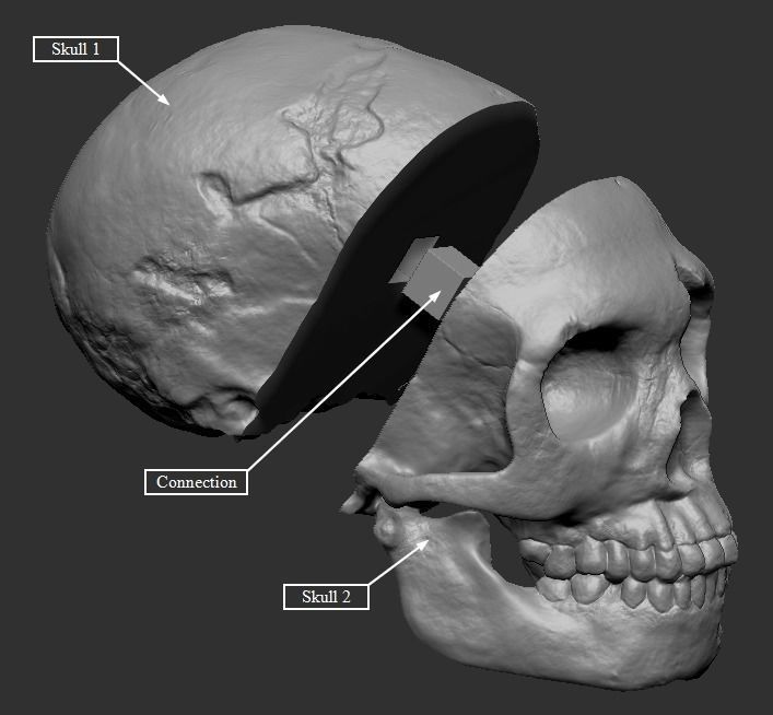 Neanderthaler Skull 3D print model_4