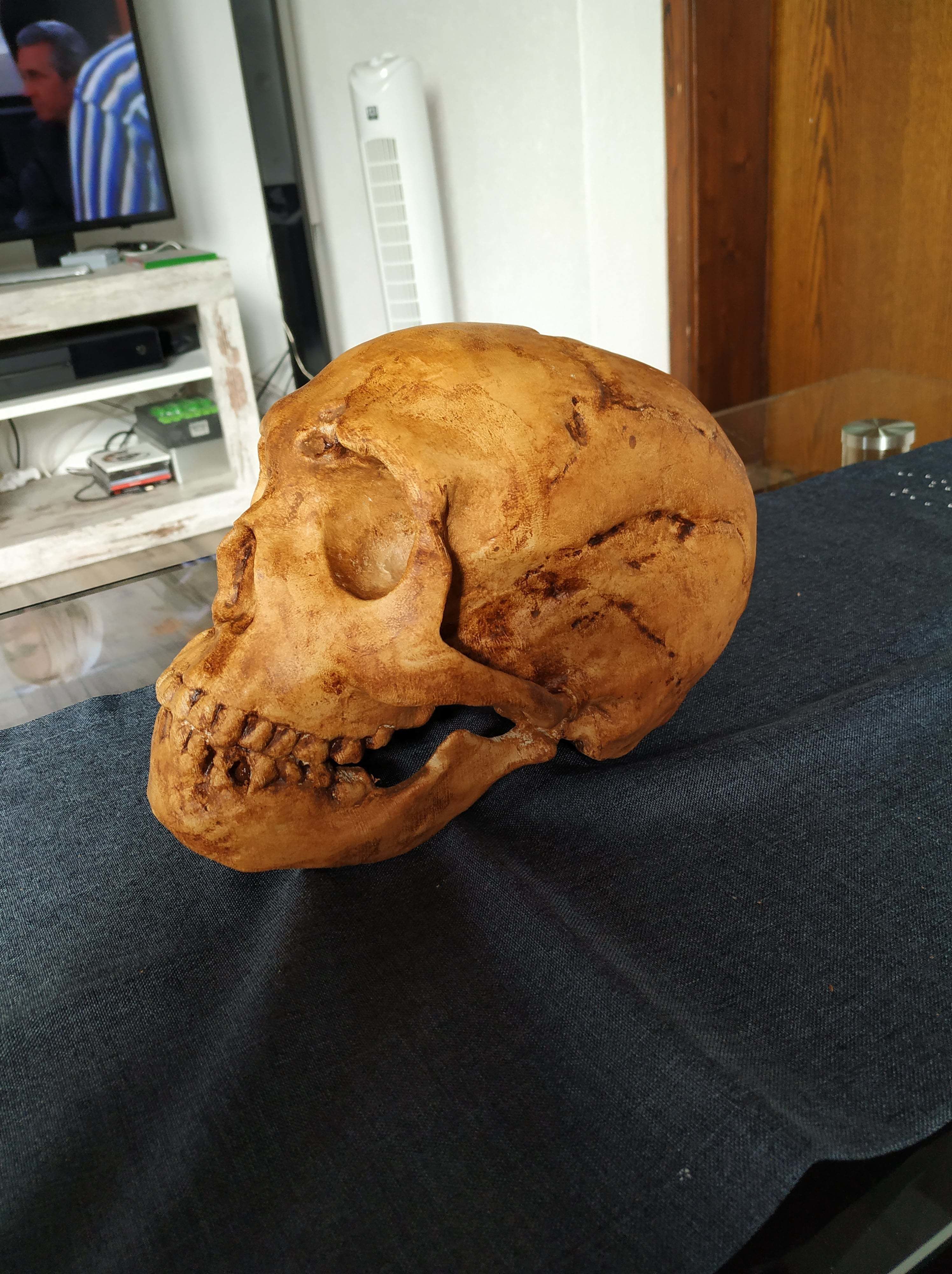 Neanderthaler Skull 3D print model_2