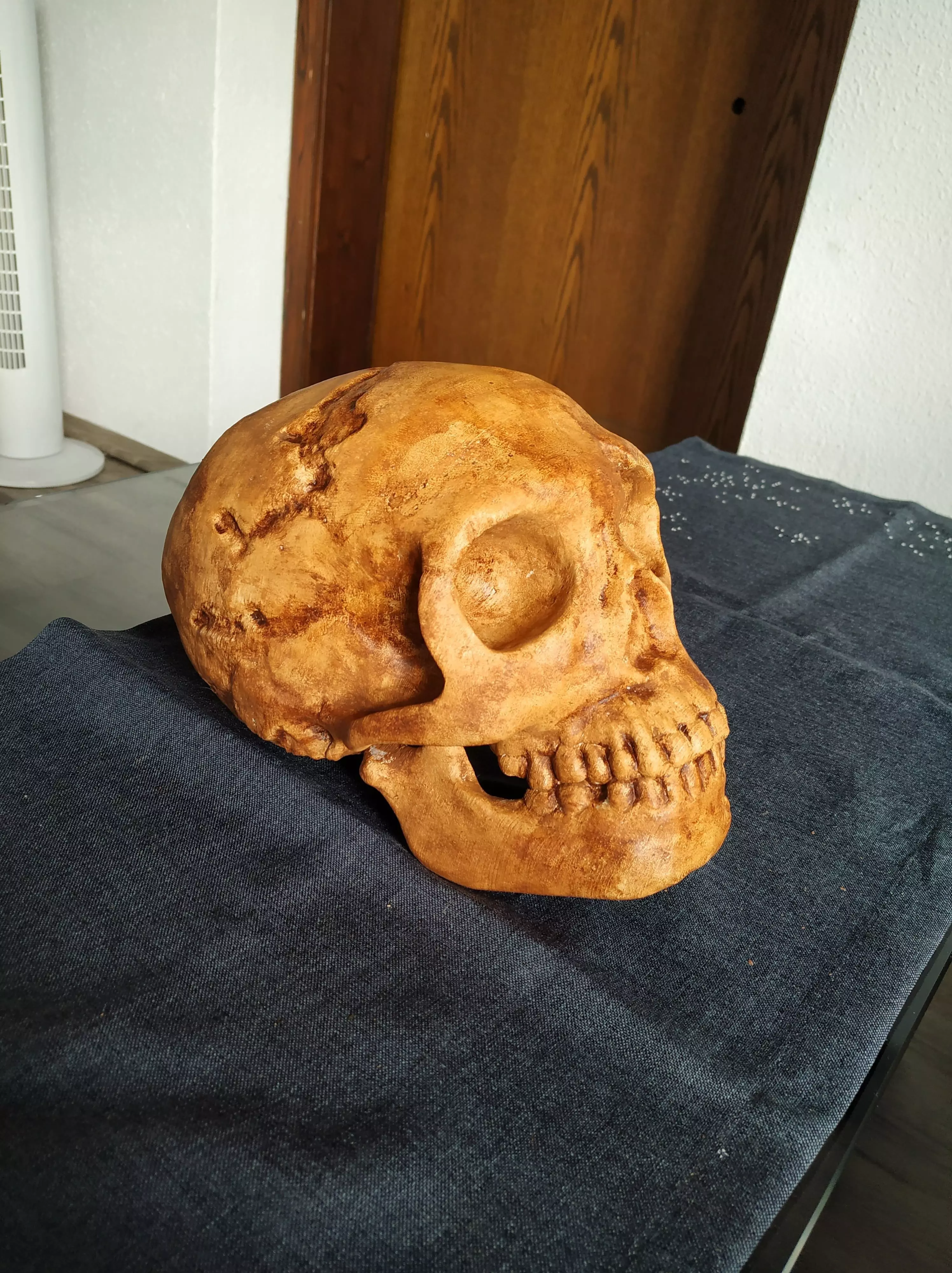 Neanderthaler Skull 3D print model_0