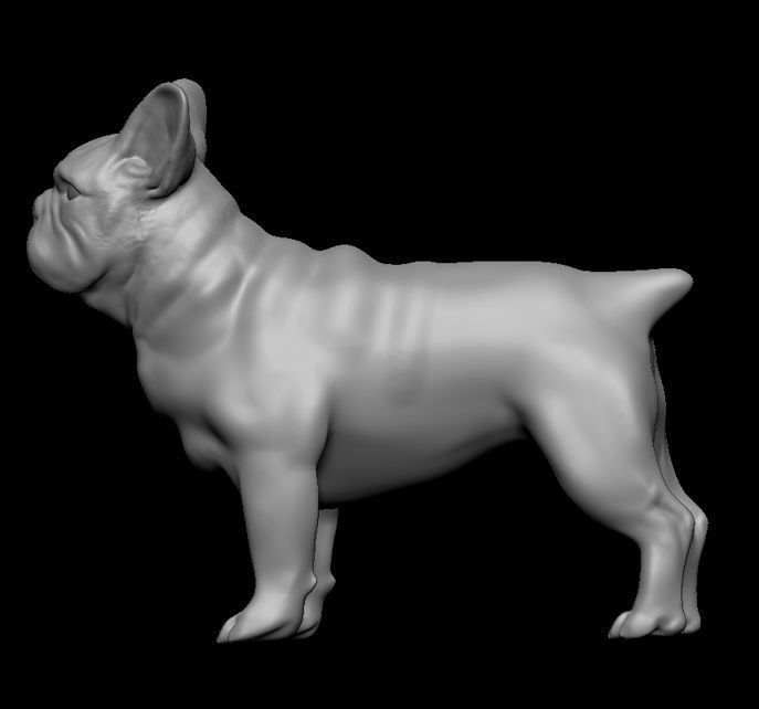 French bulldog 3D print model_5