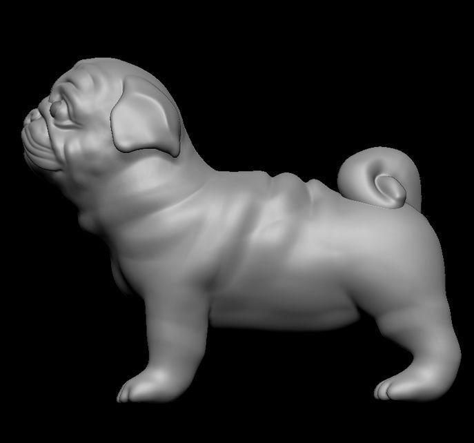 Pug dog 3D print model_5