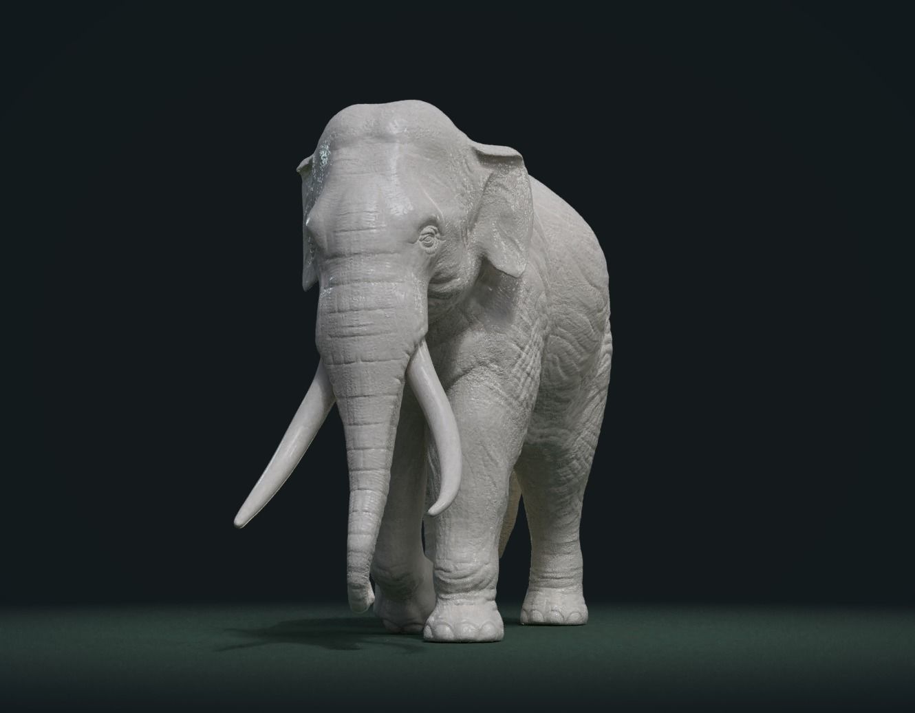 Asian Elephant 3D print model_3