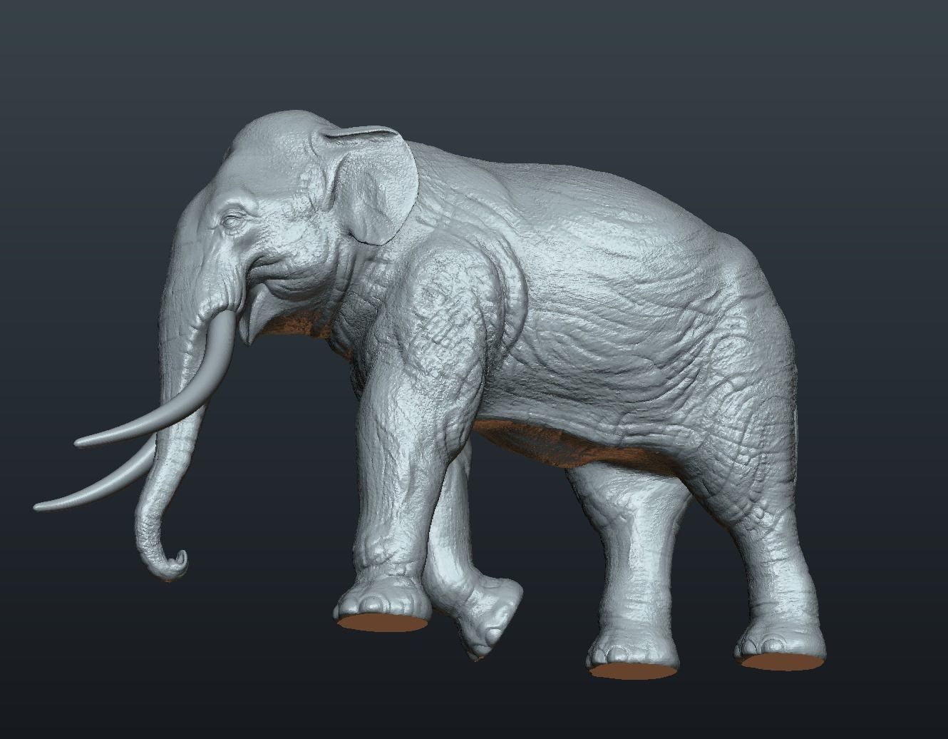 Asian Elephant 3D print model_17