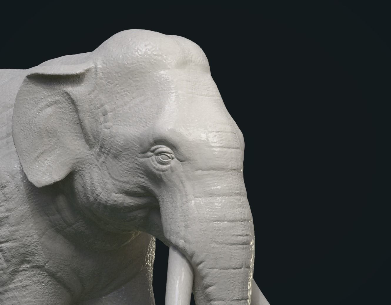 Asian Elephant 3D print model_4