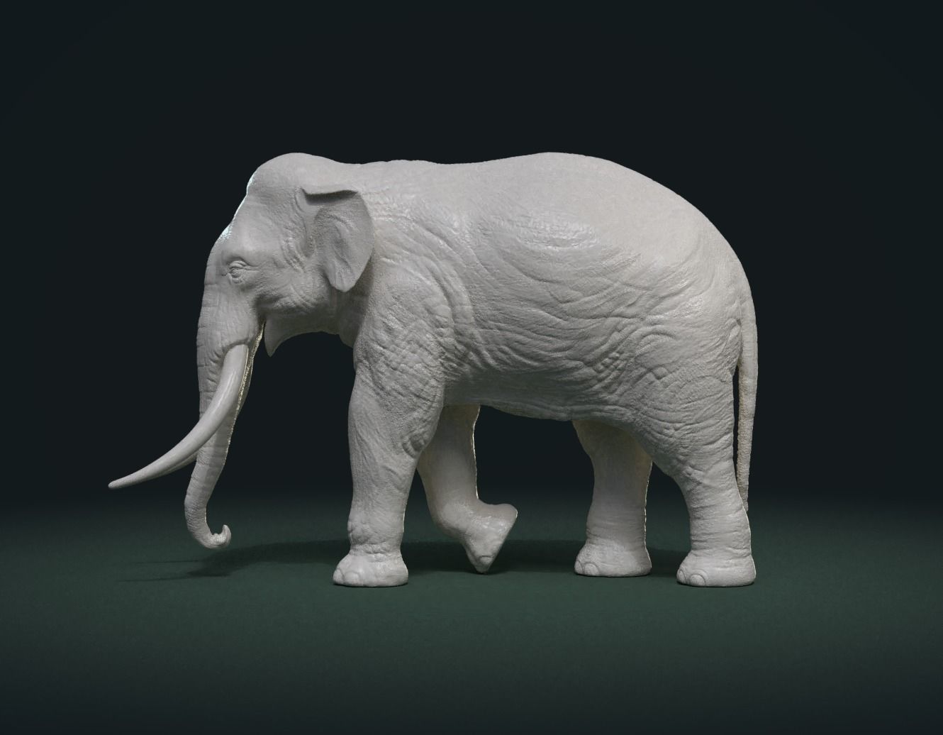 Asian Elephant 3D print model_2