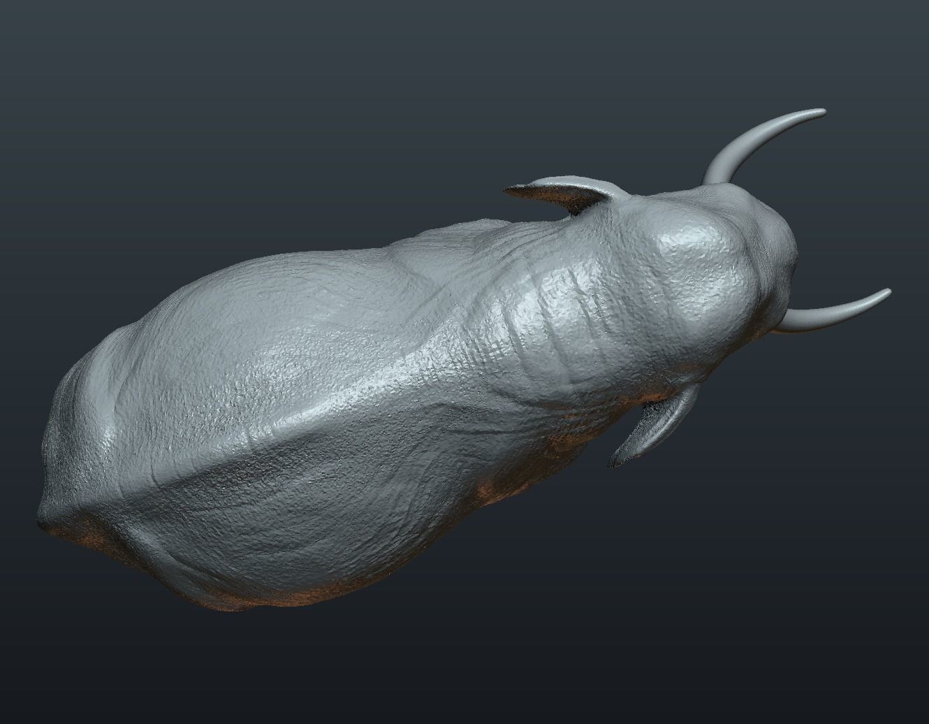 Asian Elephant 3D print model_16