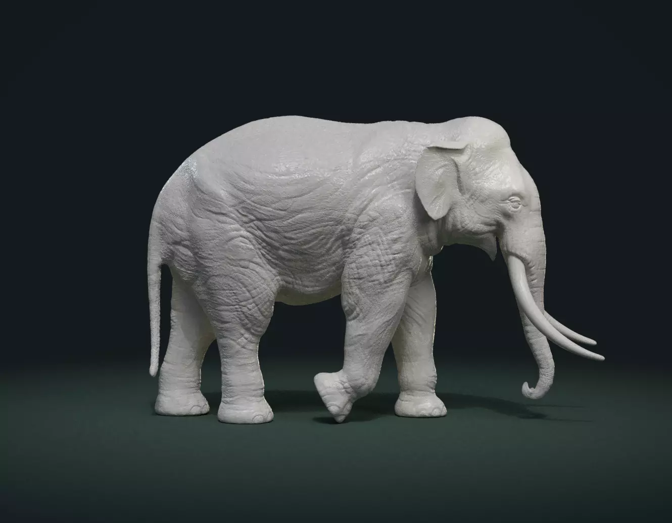 Asian Elephant 3D print model_0