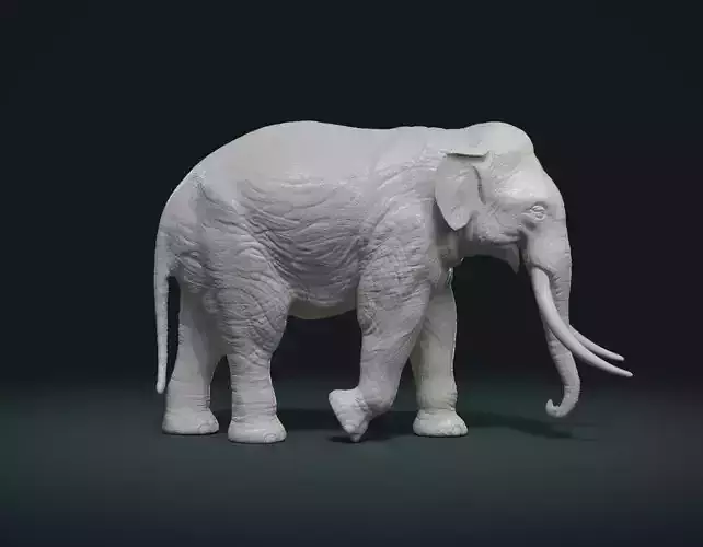 Asian Elephant 3D print model