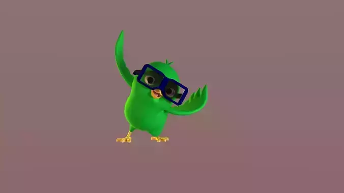 Cartoon Bird Glasses