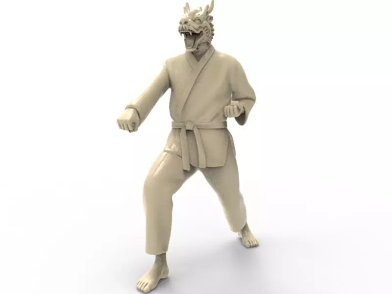 Dragon Zenkutsu Dachi Stance 3D print model_0