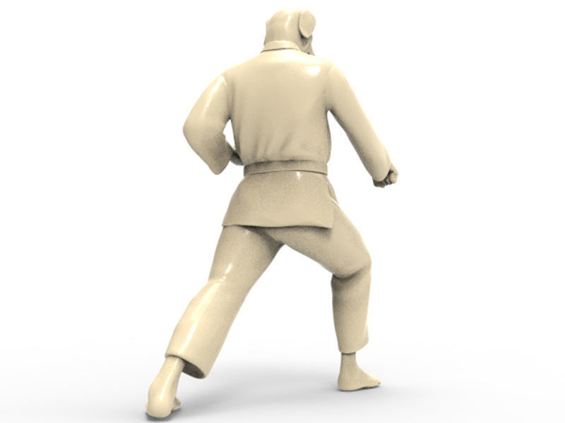 Dog Zenkutsu Dachi Stance 3D print model_3