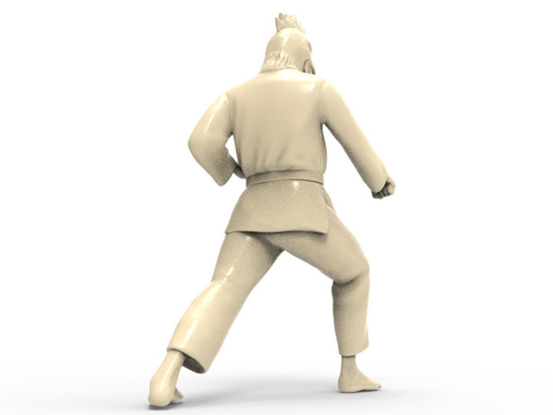 Chicken Zenkutsu Dachi Stance 3D print model_3