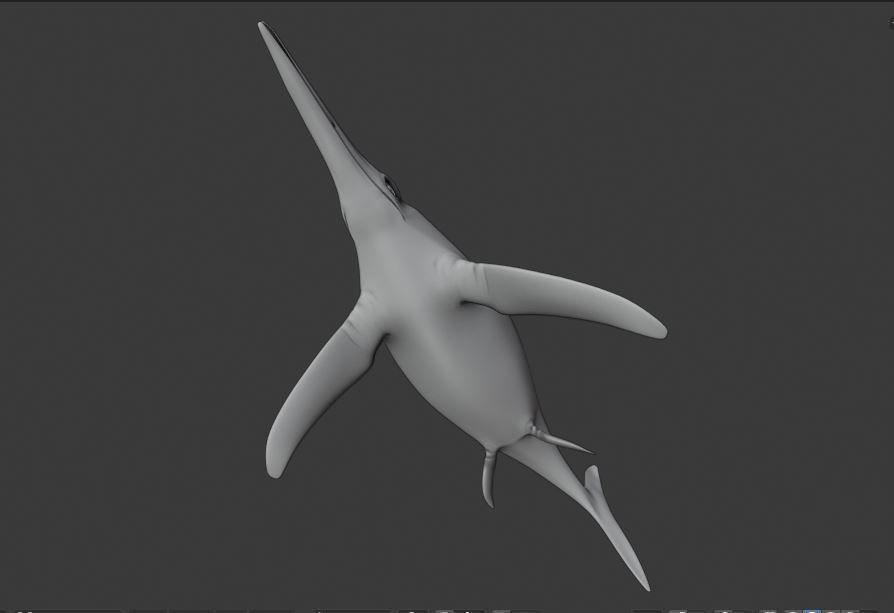 Dolphin ictiosaurio rig Low-poly 3D model_5
