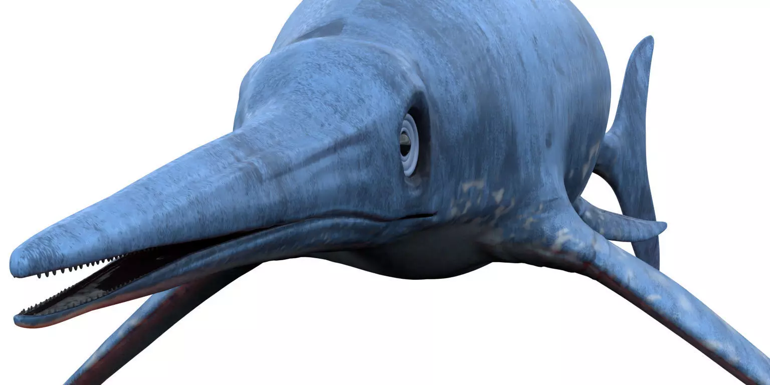 Dolphin ictiosaurio rig Low-poly 3D model_0
