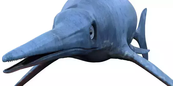 Dolphin ictiosaurio rig